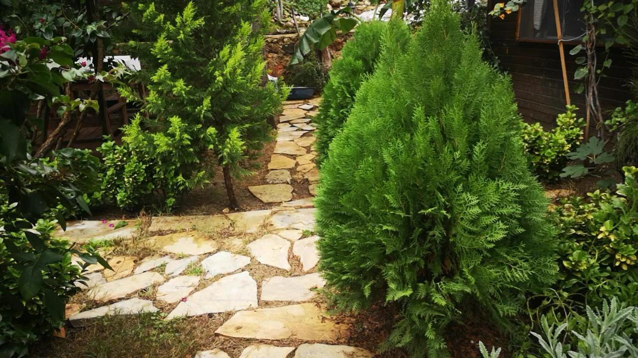 דירות אנטליה Demeter Rose Stonehouse Pansion מראה חיצוני תמונה