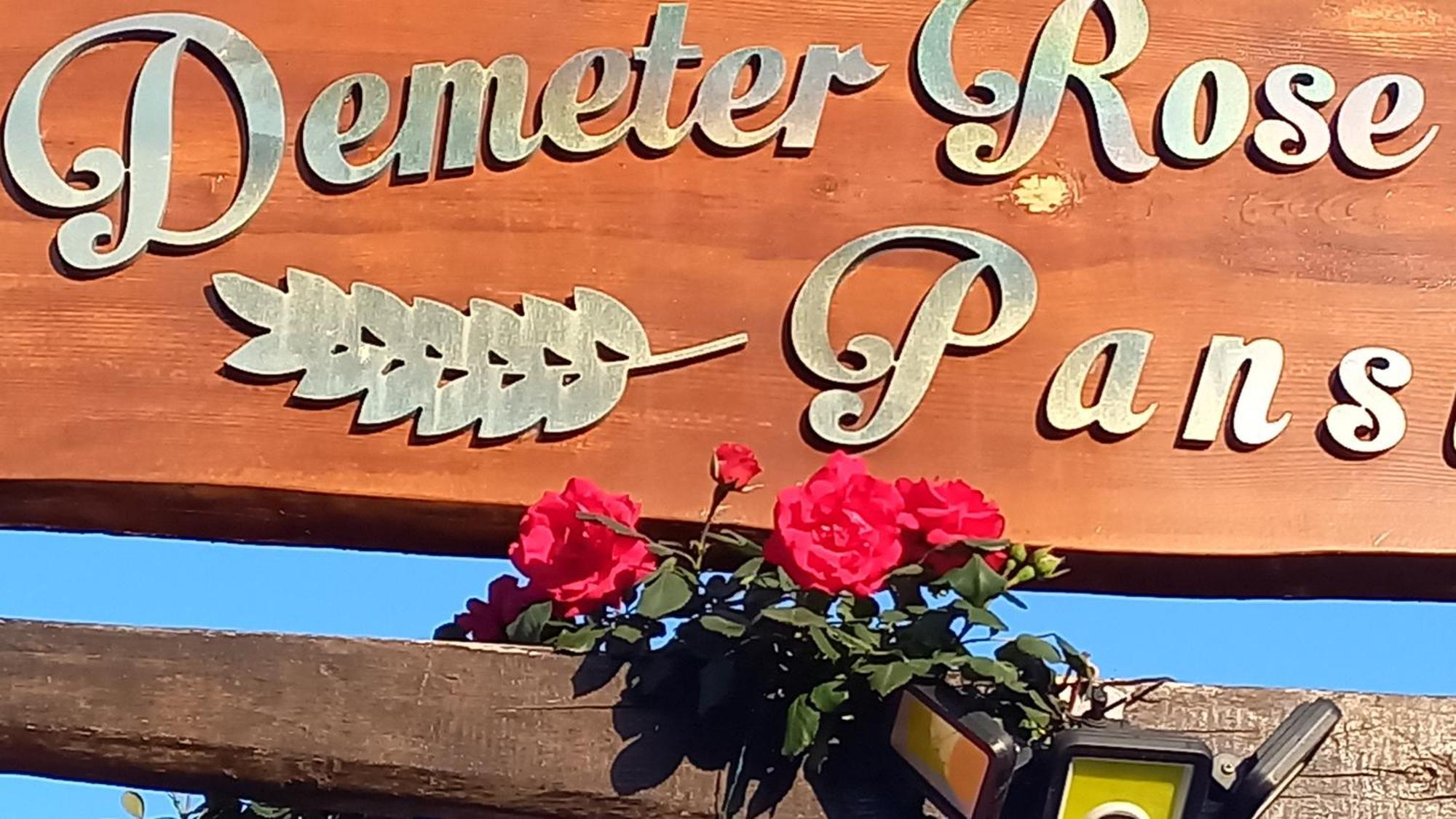 דירות אנטליה Demeter Rose Stonehouse Pansion מראה חיצוני תמונה